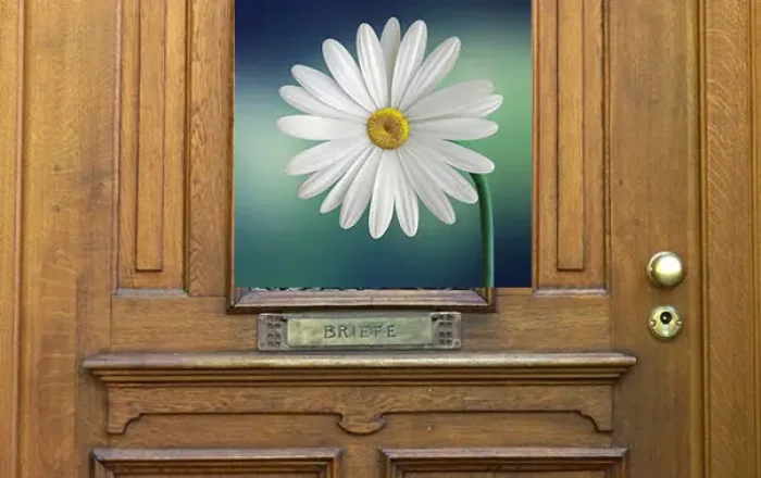 Platzhalterfoto_Tuer-Blume